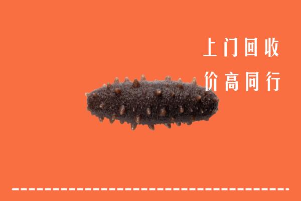 琅琊区回收海参